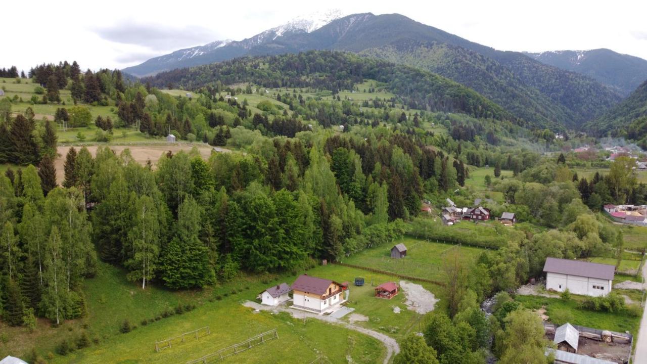 Pensiunea Floare De Colt Moisei Exteriér fotografie